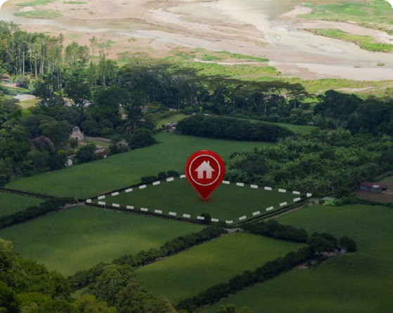 land surveying services